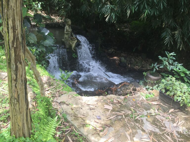 jurassic park tour